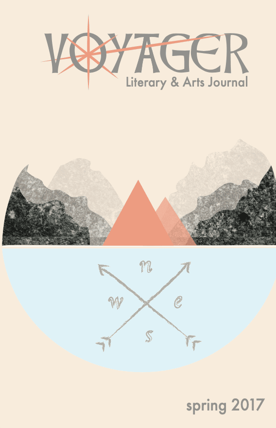 cover of Voyager 2017