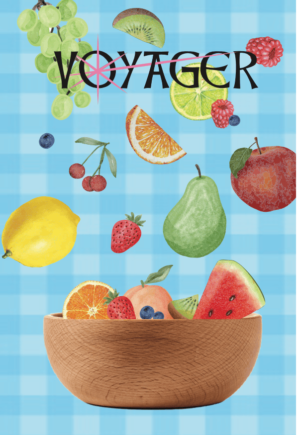 cover of Voyager 2024
